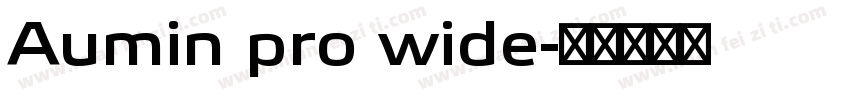 Aumin pro wide字体转换